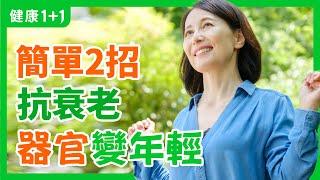 哪些方法可以 補脾 抗衰老 ？ | 補脾抗衰老 藥方 大公開 | 健康1+1