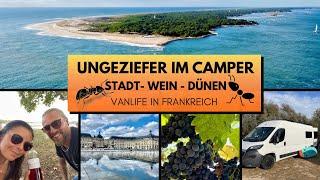 HILFE!…Ungeziefer im Camper   Wein, Dünen und eine Großstadt! Vanlife Frankreich 