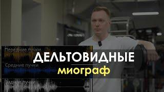 Дельтовидные мышцы. Как меняется напряжение. Миограф