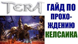 Гайд по прохождению КЕЛСАИКА - TERA Online (РЕЙД 10, Гнездо Келсаика)