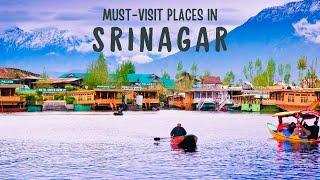 Kashmir Srinagar Tourist Places | Kashmir 2024 | Shikara Ride | Lal Chowk Market | Kashmir Snow