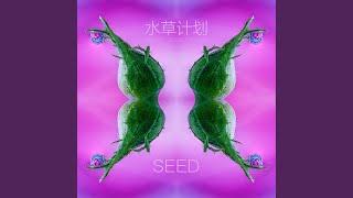 Seed