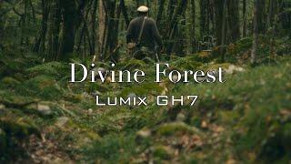 Lumix GH7 l Mystic Forest 4K