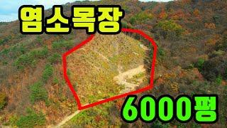 (추천토지)염소목장 딱 좋은 임야 6000평 입니다ㅣ홍천서면에 계곡물도 있는임야토지