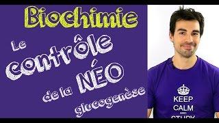 Cours de biochimie: Contrôle de la néoglucogenèse