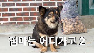 하.. 또 오빠야?