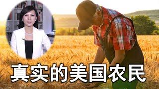 真实的美国农村&美式农民  美国农民收入多少？ Facts about farmer and agriculture in the US