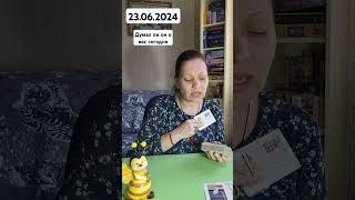 23 июня 2024 г.