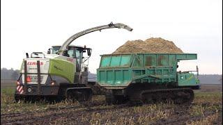 Maïs 2025 | Claas Jaguar 940 on tracks-IHI rupsdumpers-Scania-Wet field-overlaadcontainer-Damsteegt