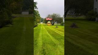 Million Dollar Lawn Transformation #landscaping #work #professional #grass #lawns #mowing #strips