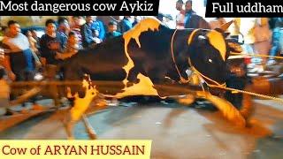 My cow Aykiz full loading and Unloading full uddham 2022 @TheHomeofGoruLovers