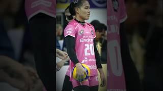 Pemain Volleyball Indonesia  | volleyball players