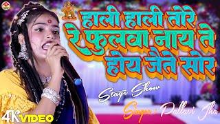 पल्लवी झा सुपरहिट मगही धमाका देवी गीत l  हाली हाली तोरे रे फुलवा l Live Jagran Program Bhakti 2024 l