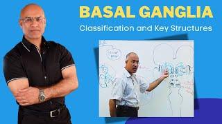 Basal Ganglia Classification and Key Structures | Neuroanatomy