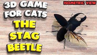 3D game for cats | The Stag Beetle (isometric view) | 4K, 60 fps, stereo sound