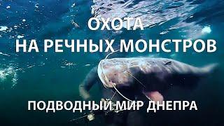 РЕКА ДНЕПР. ПОДВОДНАЯ ОХОТА НА РЕЧНЫХ МОНСТРОВ. РИТМ ЖИЗНИ В ПОДВОДНОМ МИРЕ ДНЕПРА