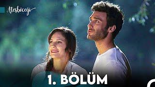 Ateşböceği 1. Bölüm (FULL HD)