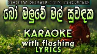 Bo Maluwe Mal Karaoke with Lyrics (Without Voice)