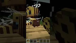 1000 bee vs wither 