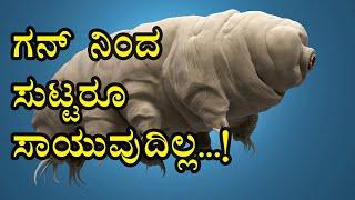 TARDIGRADE I SPACE  ಕೊಂಡುಹೋಗಿ ಇಟ್ಟರೂ ಬದುಕಿ ಬರುವ ಜೀವಿ I Creature that survive any extreme condition