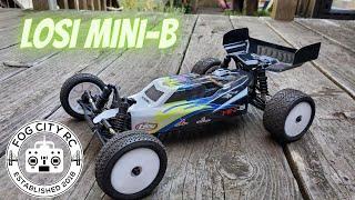 Losi 1/16 Mini-B 2WD Buggy.  Unbox and Quick Backyard Rip.