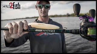 4 Gear Tips for Better Topwater Bass Fishing