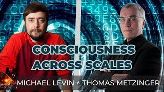 Michael Levin ^ Thomas Metzinger | From Self Models to Artificial Suffering