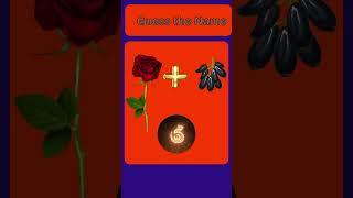 Guess The Name | Quiz Tunnel
