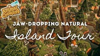 JAW-DROPPING NATURAL ISLAND TOUR  | Animal Crossing New Horizons