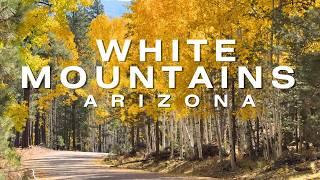 Best Small Towns in Northern Arizona White Mountains 2025