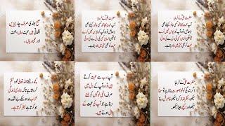 |Quotes of hazrat Ali (r.a)| Hazrat Ali saying"16"| @abdullahkhalid7862