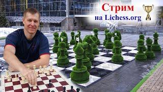 Ежечасная Blitz Арена 3+0 54 хода за 1 секунду!