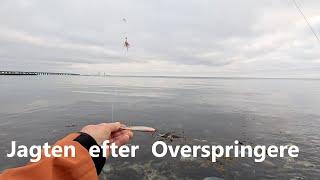 Jagten på Overspringere i december