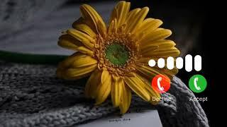 Love Instrumental Ringtone 2023//Instrumental Ringtone Songs//Instrumental Ringtone