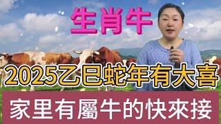 生肖牛！2025年乙巳蛇年有大喜事！屬牛人快來接！接住好運！一整年都順順利利！好運連連！財源滾滾來！#風水 #生肖 #運勢 #佛教