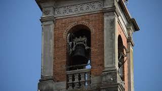 Le campane di Cavaglio d'Agogna (NO) Santuario della Madonna della Neve