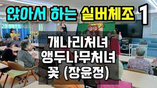 [실버체조]앉아서 하는 실버체조 모음 1부(연속3곡)