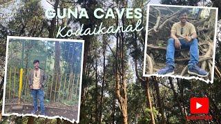 Inside the mysterious Guna Caves & Kodaikanal's majestic Pine Forest