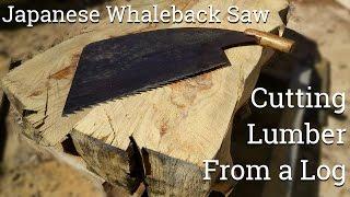 Japanese Whaleback Saw - Cutting Lumber From A Log (Maebiki Nokogiri)