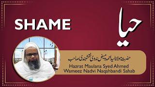 SHAME || حیا || Hazrat Maulana Syed Ahmed Wameez Nadvi Naqshbandi Sahab || @PayameHabeeb