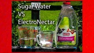 Best Hummingbird Nectar is it sugar water or Kaytee ElectroNectar Birds Choose