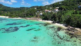 Сейшелы. АКУЛЫ. Anse Royale Beach, Anse a la Mouche Beach