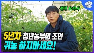 요리사 그만두고 귀농 5년차 청년농부의 방울토마토 3000평 수익은?