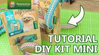 DIY Kit MINI Sanctified Covenant Dog Collar - Paracord.eu Tutorial