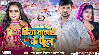 #Om Prakash Diwana | #Shilpi Raj का सबको रुला देने वाला गाना | पिया गुलरी के फूल | New Sad Song 2024