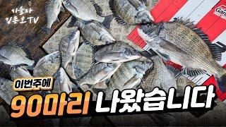 지금이 마지막 기회  목줄 길이  선택 어떻게 할까!?