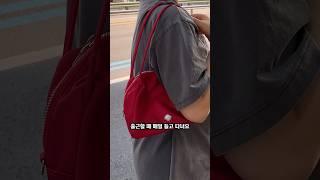 직장인 데일리백 추천 W컨셉 언에디트 나일론 레드가방 하울 | 미니백인데 수납력 실화? #패션 #하울 #가방 ANEDIT Trapezoid Nylon Shoulder Bag