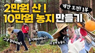 평당 2만원 산을 10만원 농지로 만들기! 개간 도전 1부