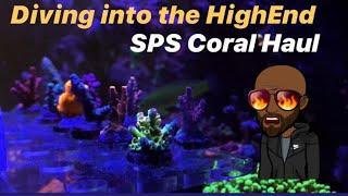 Ep.22 | New SPS Corals & test Kits - Diving Into The High End