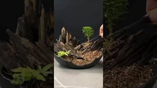 Miniature Forest Making #youtubeshorts #shorts #trending #satisfying